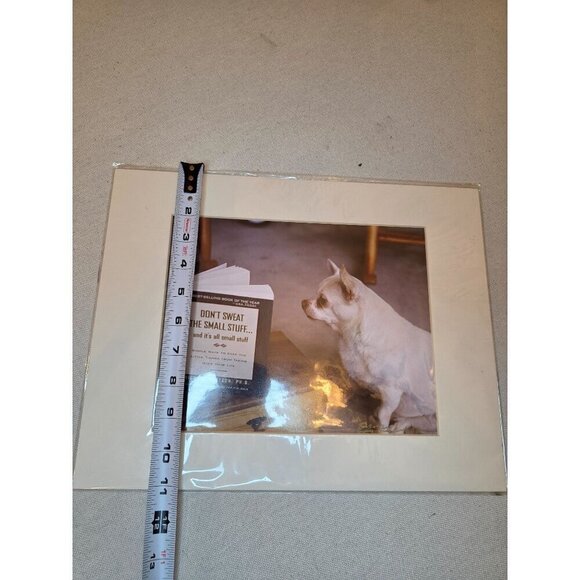 Chihuahua Staring At Book "Dont Sweat The Small Stuff" Photography Print By Eliz - Picture 8 of 8